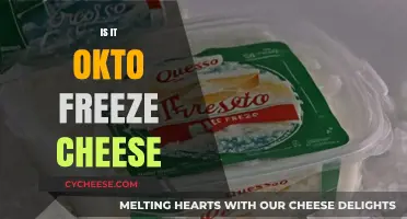 Can You Freeze Cheese? A Guide to Proper Storage and Quality