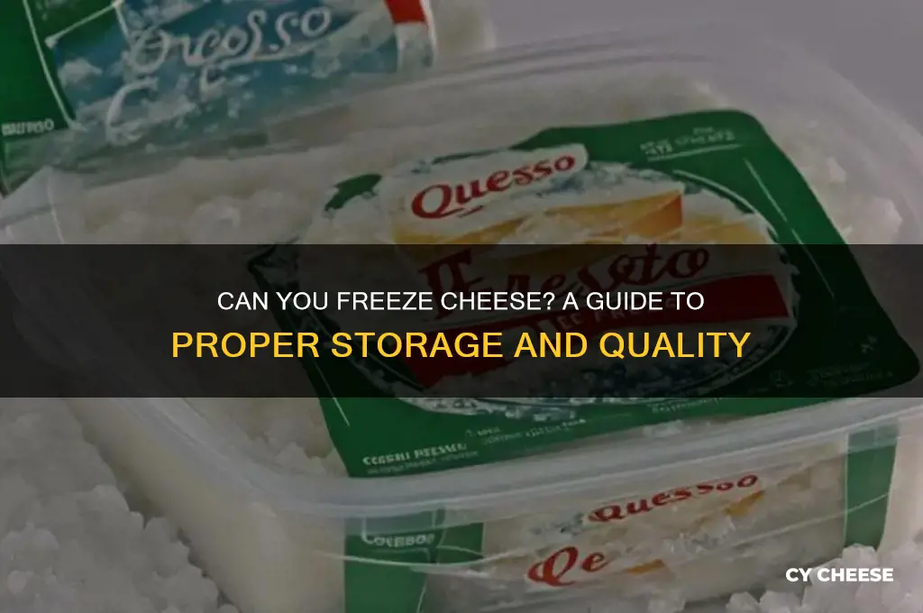 is it okto freeze cheese