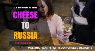 Can You Bring Cheese to Russia? Travel Rules Explained