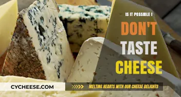 Could You Be Missing the Flavor? Exploring Cheese Taste Blindness