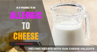 Can Cheese Cause Allergies? Uncovering the Truth Behind Dairy Sensitivities