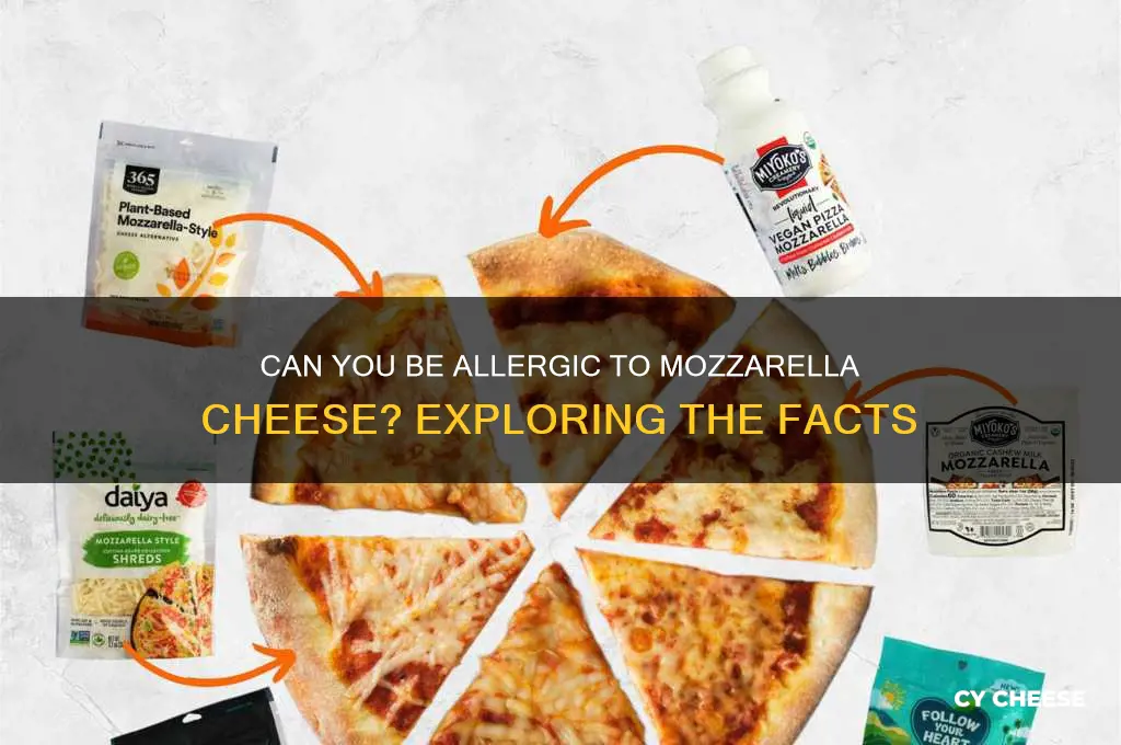 is it possible to be allergic to moserella cheese