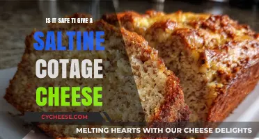 Is Saltine and Cottage Cheese a Safe Snack Combo?