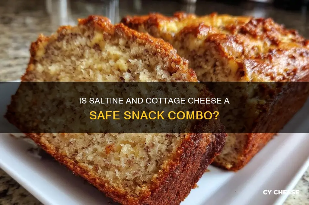 is it safe ti give a saltine cotage cheese