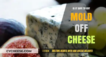 Is Cutting Mold Off Cheese Safe? Expert Advice and Risks