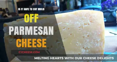 Can You Cut Mold Off Parmesan Cheese?