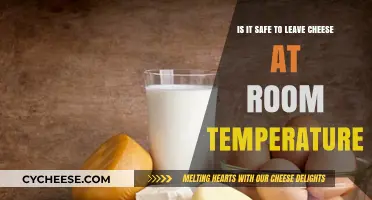 Is Cheese Safe at Room Temperature? Facts and Risks Explained