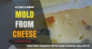 Is Moldy Cheese Safe? Removing Mold from Cheese: Risks and Tips
