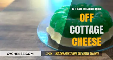 Is Scraping Mold Off Cottage Cheese Safe? Expert Insights Revealed