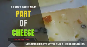 Moldy Cheese: Safe to Cut Off or Toss Entirely?