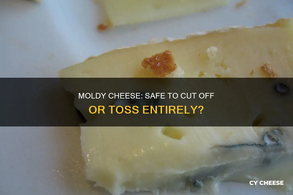 is it safe to tear off moldy part of cheese