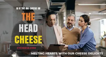 Big Cheese vs. Head Cheese: Decoding Leadership Titles and Their Meanings