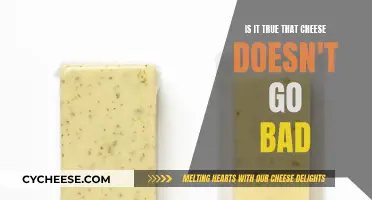 Cheese's Eternal Life: Does it Ever Go Bad?
