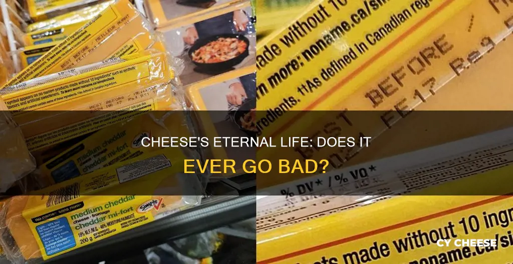is it true that cheese doesn