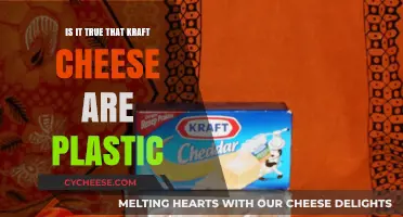 Kraft Cheese and Plastic: Separating Fact from Fiction