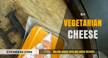 Is Your Cheese Vegetarian? Uncovering Hidden Animal Ingredients in Dairy