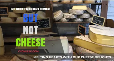 Milk vs. Cheese: Why One Upsets Your Stomach and the Other Doesn't