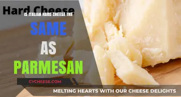 Hard Italian Cheeses: Are They All Parmesan?