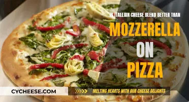 Italian Cheese Blend: Better Pizza Topping than Mozzarella?