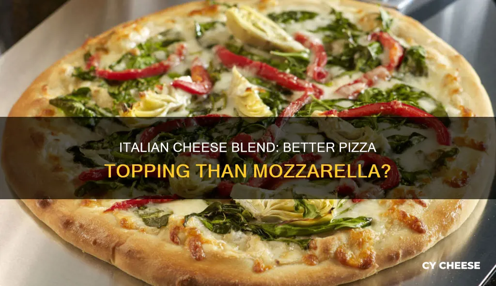 is itallian cheese blend better than mozzerella on pizza