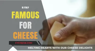 Italy's Cheese Legacy: A Global Culinary Icon Explored