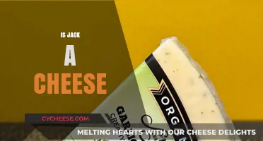 Is Jack a Cheese? Unraveling the Mystery of This Dairy Delight
