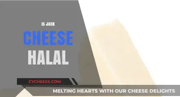 Is Jack Cheese Halal? Exploring Ingredients and Certification for Muslims