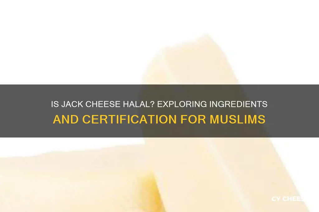 is jack cheese halal