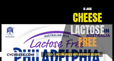 Jack Cheese: Lactose-Free Superfood?