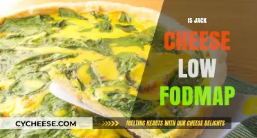 Is Jack Cheese Low FODMAP? A Digestive-Friendly Cheese Guide