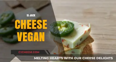 Is Jack Cheese Vegan? Unraveling the Dairy-Free Dilemma