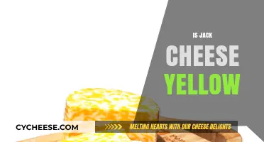 Is Jack Cheese Yellow? Uncovering the Truth Behind Its Color