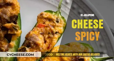 Is Jalapeño Cheese Spicy? Unraveling the Heat in Your Favorite Snack