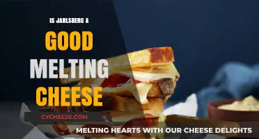 Jarlsberg: A Perfect Melting Cheese for Your Culinary Creations?