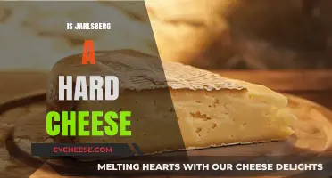 Is Jarlsberg a Hard Cheese? Exploring Its Texture and Characteristics