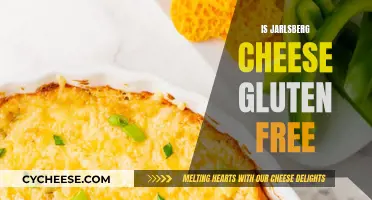 Jarlsberg Cheese: A Gluten-Free Option?