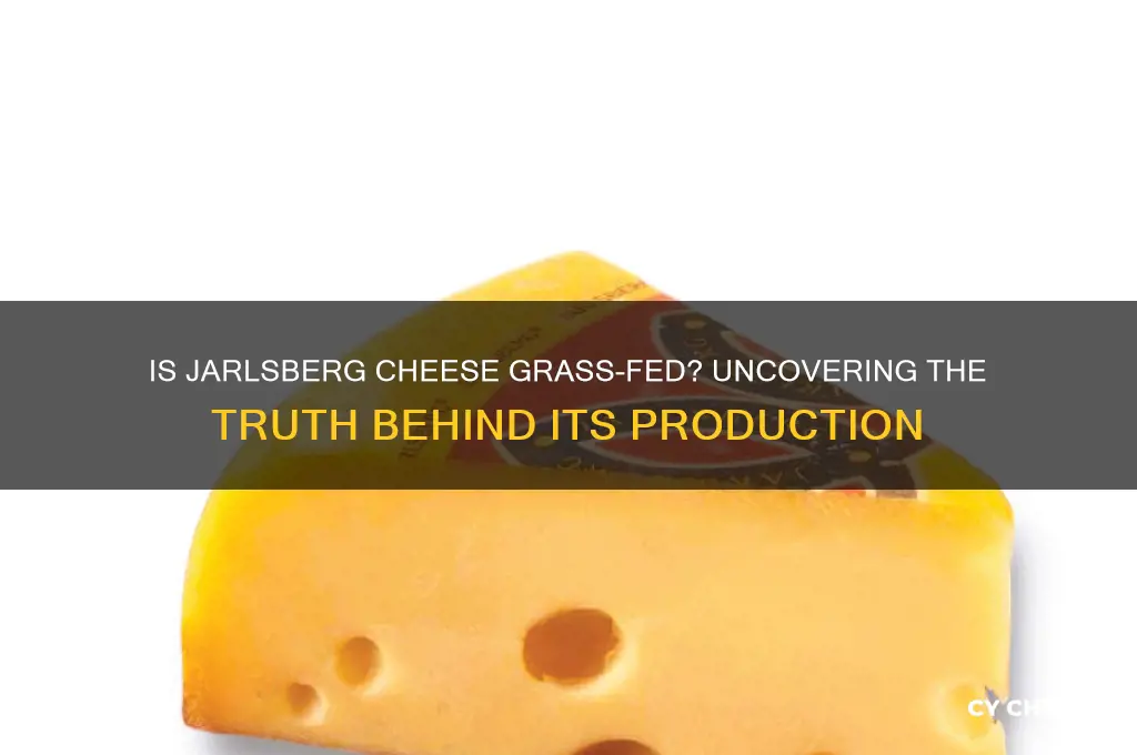 is jarlsberg cheese grass fed