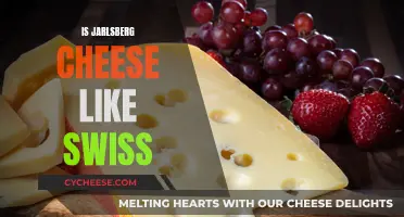 Jarlsberg Cheese: Swiss Twin?