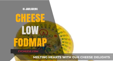 Is Jarlsberg Cheese Low FODMAP? A Digestive-Friendly Cheese Guide