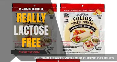 Lactose-Free Living: Is Jarlsberg Cheese Safe?