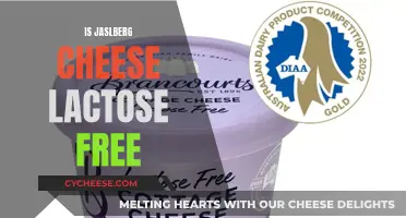 Jaslberg Cheese: Lactose-Free Delicacy?