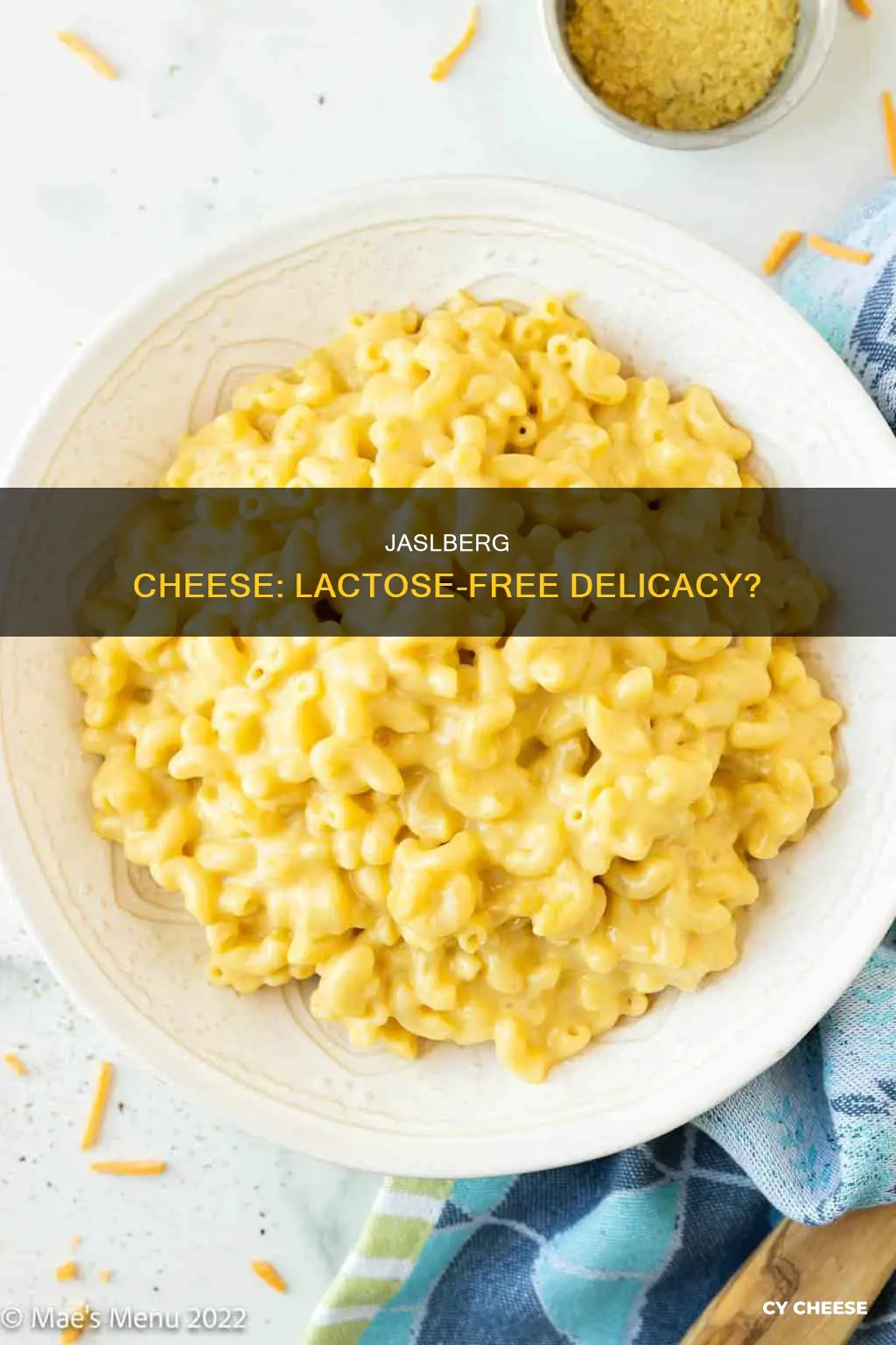 is jaslberg cheese lactose free