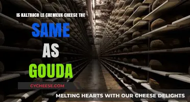 Kaltbach Le Crèmeux vs. Gouda: Unraveling the Cheese Confusion