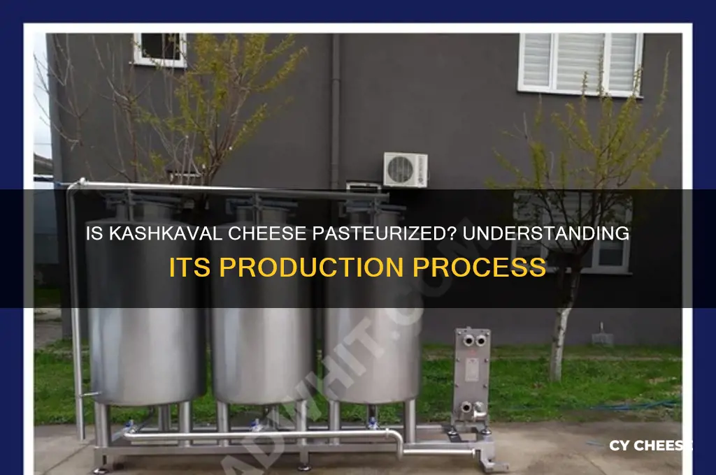 is kashkaval cheese pasteurized