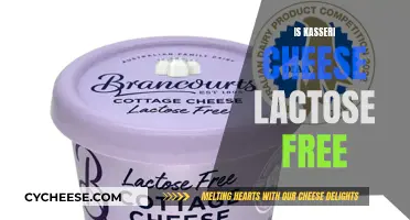 Kasseri Cheese: Lactose-Free Superfood?