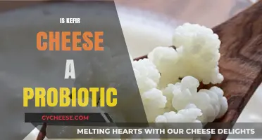 Kefir Cheese: A Probiotic Powerhouse or Just a Dairy Delight?