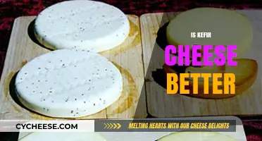 Is Kefir Cheese Better? Exploring Health Benefits and Flavor Differences
