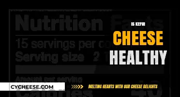 Kefir Cheese: Healthy Superfood or Just a Fad?