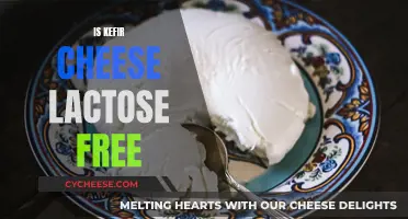 Kefir Cheese: Lactose-Free Superfood or Not?
