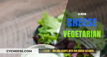 Is Kefir Cheese Vegetarian? Exploring Dairy Options for Plant-Based Diets